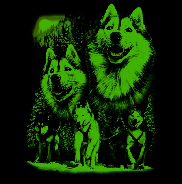 Sled dogs T-shirt