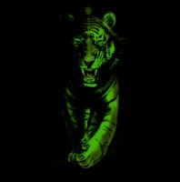 Wild Glow in the Dark Bengal Tiger T-Shirt